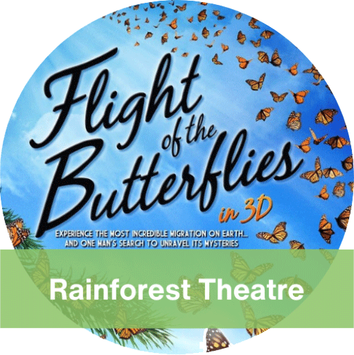 Rainforest Theatre